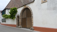 2025-10 Konzertreise Boppart Neustadt_Weinstrasse (26)